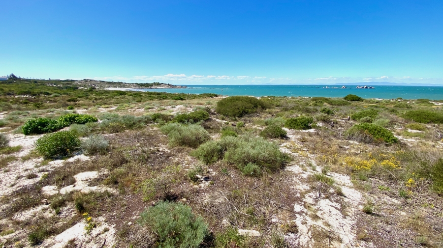0 Bedroom Property for Sale in Shelley Point Western Cape